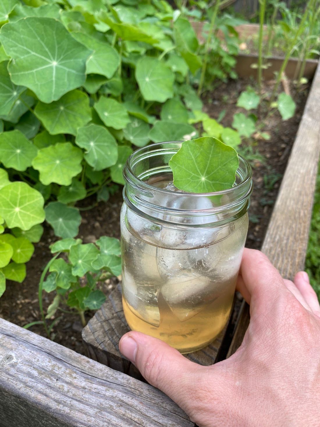 Ginger-Mint G+T
