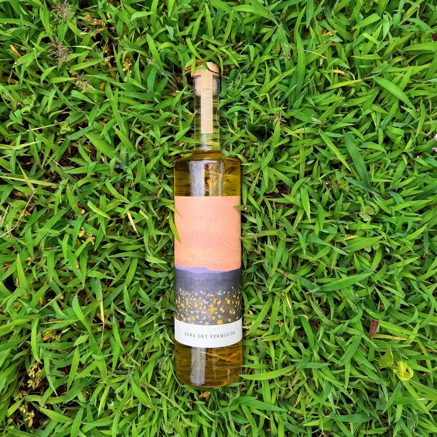 Aura Dry Vermouth 2025 (Pre-Order)