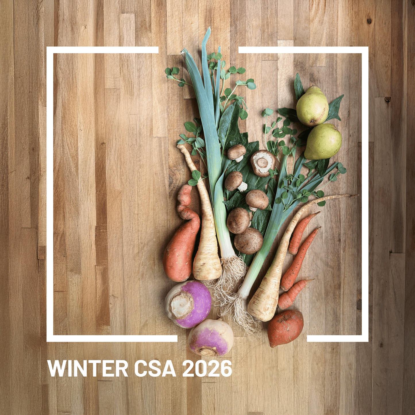 Winter CSA 2026
