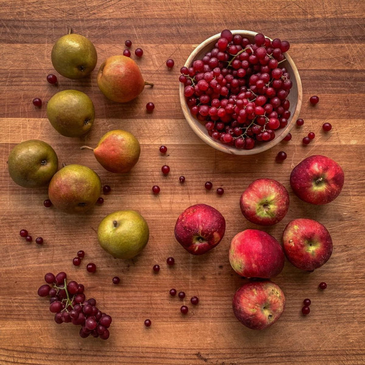 Appalachian Fruit Harvest