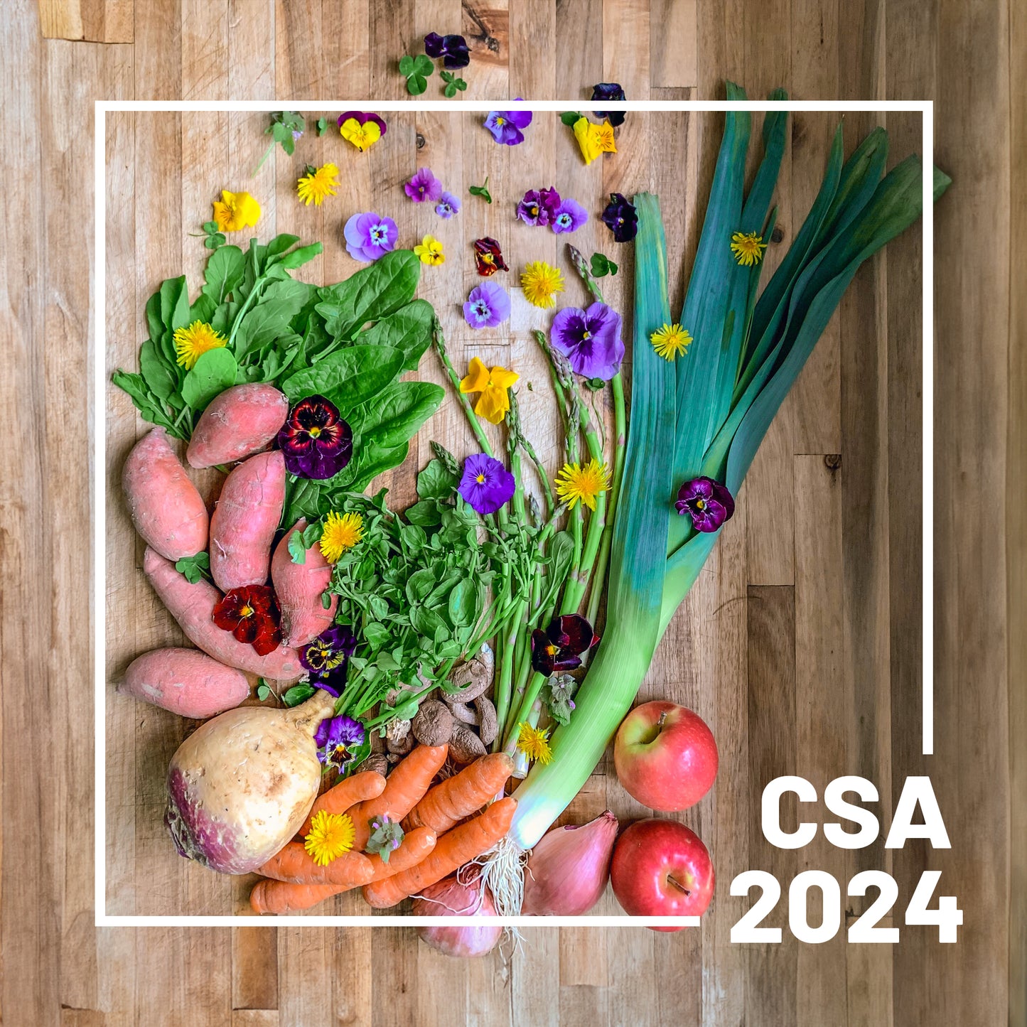 Artemisia CSA 2024