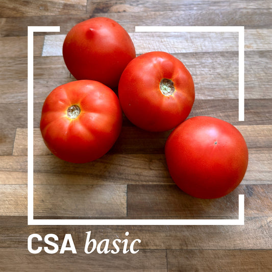 Artemisia CSA Basic