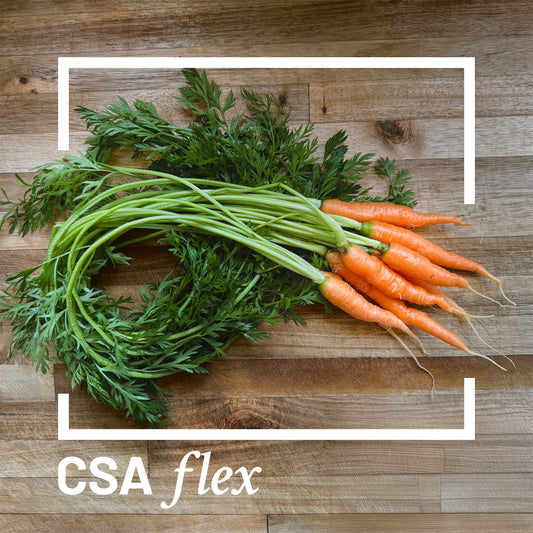 Artemisia CSA Flex