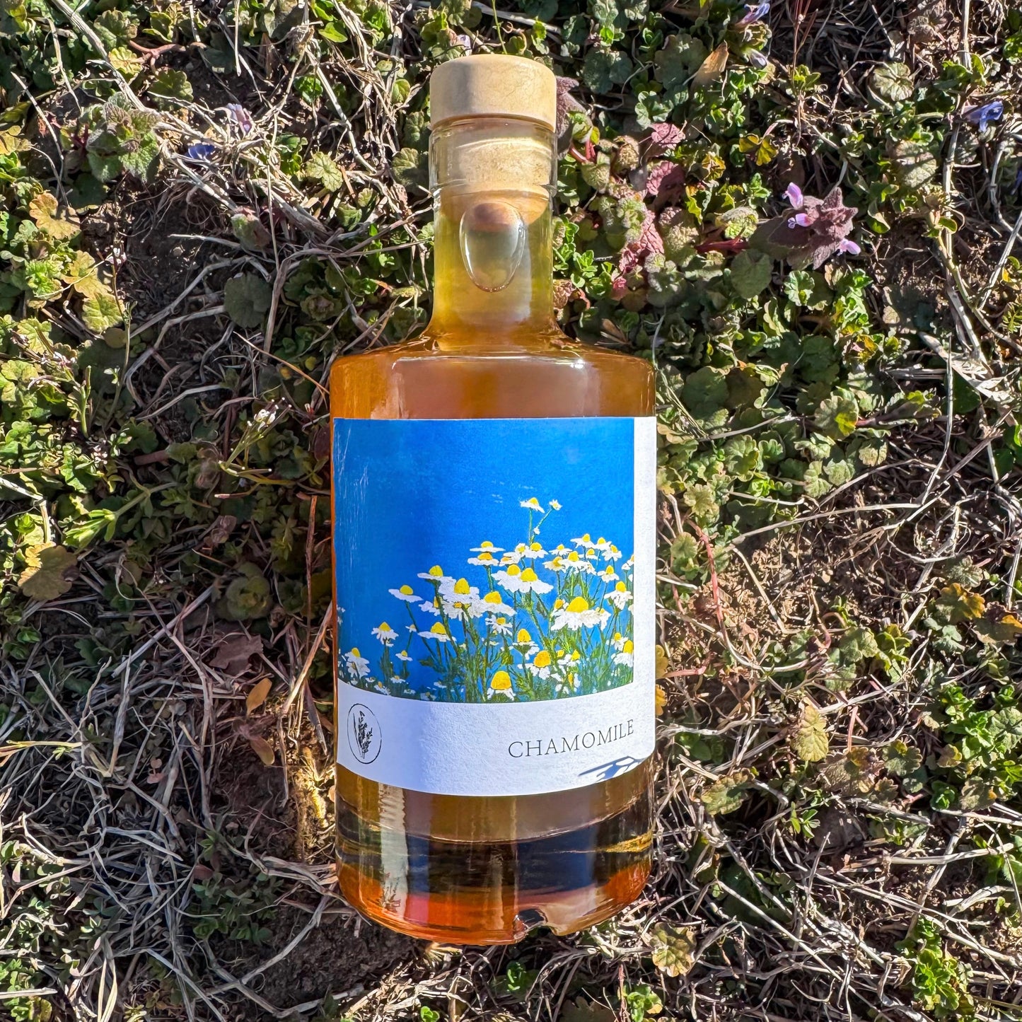 Chamomile 2024 (Pre-release)
