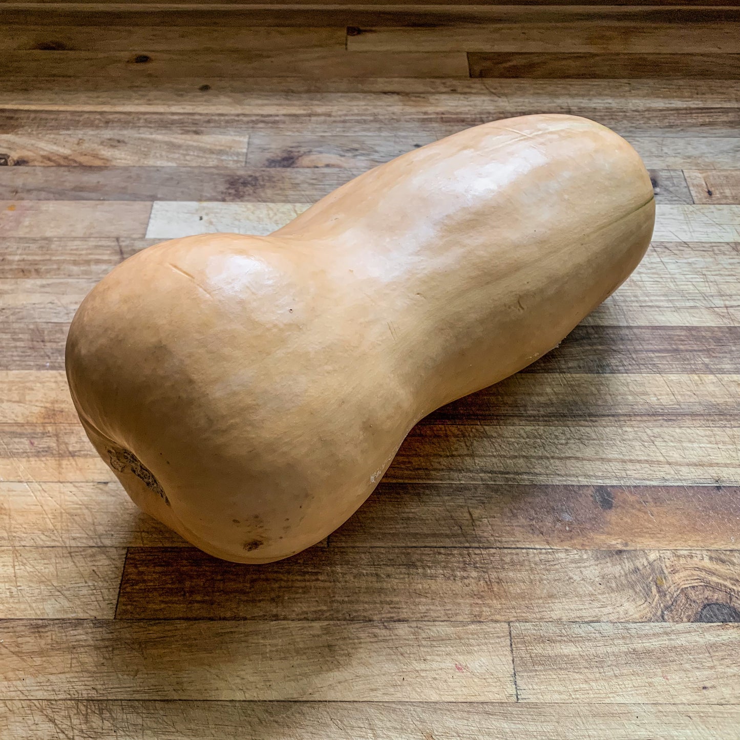 Butternut Squash