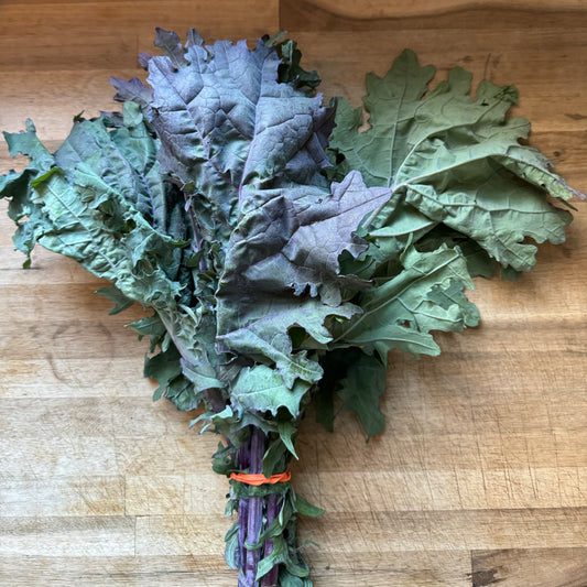 Red Russian Kale