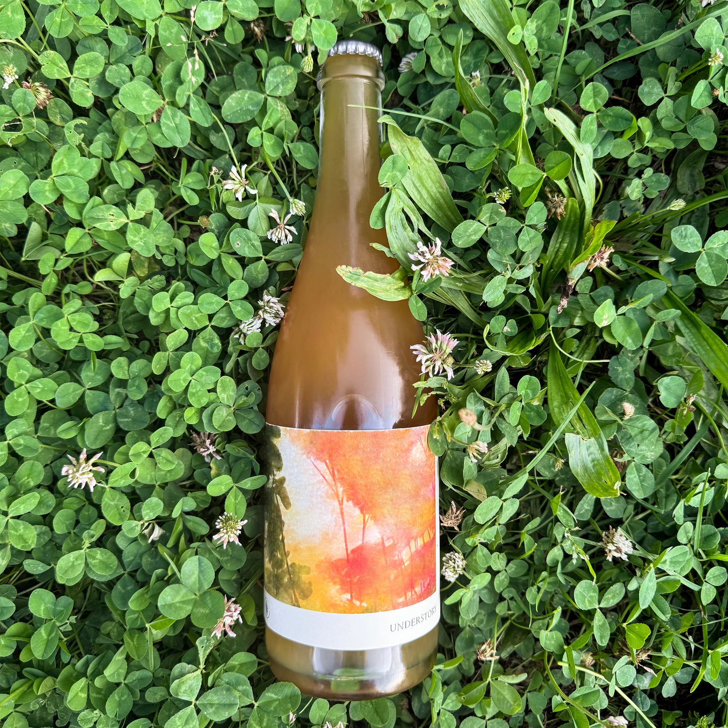 Understory 2023 (Pre-Release only)