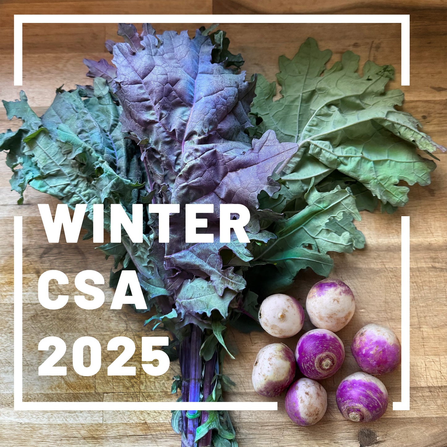 Winter CSA 2025