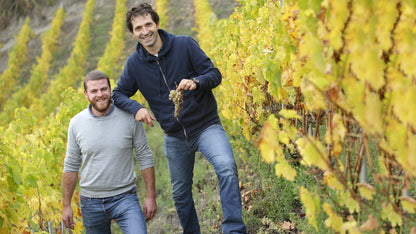 Azienda Agricola 499 Freisa 2017