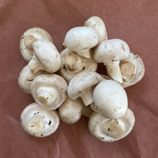 White Mushrooms